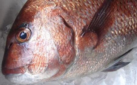 箱根 鯛ごはん懐石瓔珞（ようらく）　鯛ごはん3パック入り［レトルトレトルト］