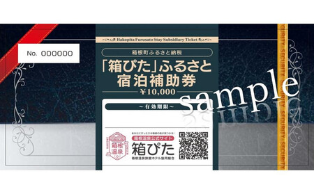 【箱根町】箱ぴたふるさと宿泊補助券（150,000円分）［箱根箱根］