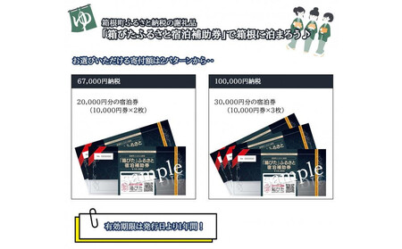 【箱根町】箱ぴたふるさと宿泊補助券（150,000円分）［箱根箱根］