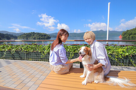 芦ノ湖遊覧船　1日フリー乗車券＋ワンちゃん2匹まで［チケットチケット］