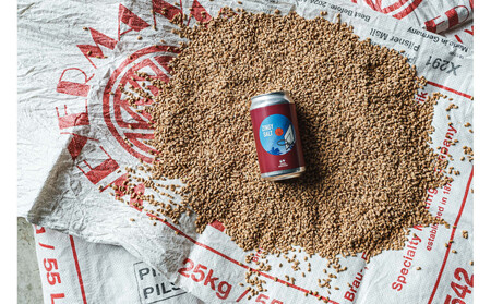 International Beer Cup金賞受賞 『GORA BREWERY』 人気銘柄3種缶6本セット