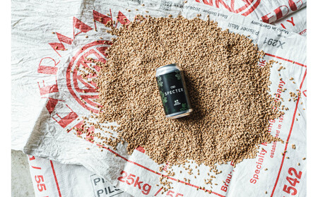 International Beer Cup金賞受賞 『GORA BREWERY』 人気銘柄3種缶6本セット