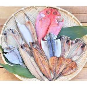 真鶴特産ひもの(5～7種類合計10～15匹位)を1年間毎月1回の定期便でお届けプラン【配送不可地域：離島】【1032836】