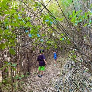 真鶴わんぱく日記(4名様迄)【1278402】