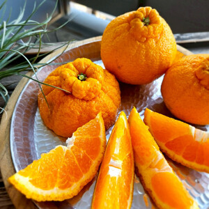 人気の不知火入り!みかん色々4-5種10kg季節の柑橘が楽しめる詰め合わせBox【先行受付】【1531526】