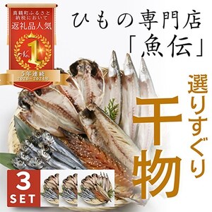 魚伝特製干物セット詰め合わせ×3 真鶴町返礼品人気ランキングNo.1 (冷凍)【配送不可地域：離島】【1900625】