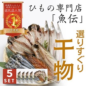 魚伝特製干物セット詰め合わせ×5 真鶴町返礼品人気ランキングNo.1 (冷凍)【配送不可地域:離島】【1900626】