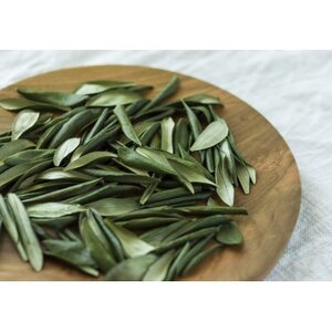 本気の飲むUVケア「UVーOLEUROPEIN」1袋(300mg×100粒)【1574483】