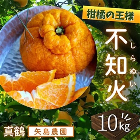 柑橘の王様★不知火10kg入り　濃厚ジューシー、甘味たっぷり!　酸味も程よく香り高く、実はプリプリ!【1695150】