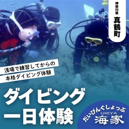 だいびんぐしょっぷ海家「1日体験ダイビング」【1701551】