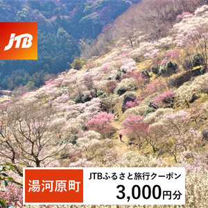 【湯河原町】JTBふるさと旅行クーポン（3,000円分）有効期間3年（Eメール発行） 湯河原温泉 宿泊