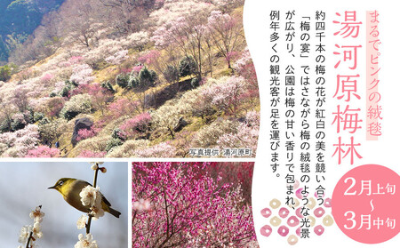 【湯河原町】JTBふるさと旅行クーポン（30,000円分）有効期間3年（Eメール発行） 湯河原温泉 宿泊