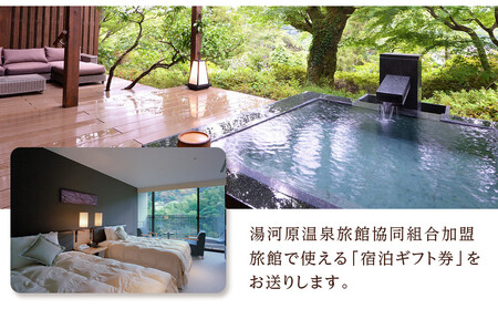 湯河原温泉ふるさと納税「宿泊ギフト券」 60,000円分