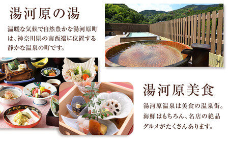 湯河原温泉ふるさと納税「宿泊ギフト券」 90,000円分