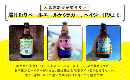 湯河原温泉のクラフトビール【ヒューマンズビア】おまかせ6本セット | 湯河原町 湯河原温泉 クラフトビール おまかせセット 醸造所