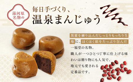 湯河原温泉 一福堂　自家製温泉まんじゅう　20個 | 湯河原町 温泉饅頭 職人の手作り 和菓子 お土産 しっとり あんこ 餡子