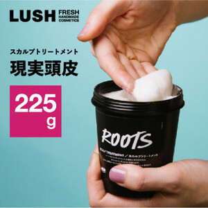 LUSH ラッシュ スカルプトリートメント 現実頭皮 ハンドメイドコスメ_スカルプ トリートメント 頭皮ケア ハンドメイド_【1550094】