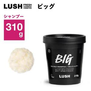 LUSH ラッシュ ビッグ リキッドシャンプー 310g スカルプケア シーソルト_シャンプー スカルプ ケア シーソルト_【1640981】