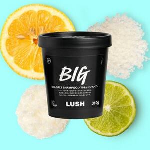 LUSH ラッシュ ビッグ リキッドシャンプー 310g スカルプケア シーソルト_シャンプー スカルプ ケア シーソルト_【1640981】