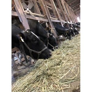 令和7年産「牛さんのお米」はるみ 10kg(5kg×2袋)【1350013】