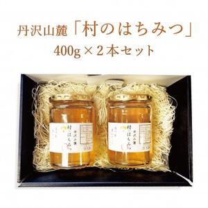 道の駅「清川」からお届け!『丹沢山麓 清川村のはちみつ400gx2本セット』【1427487】