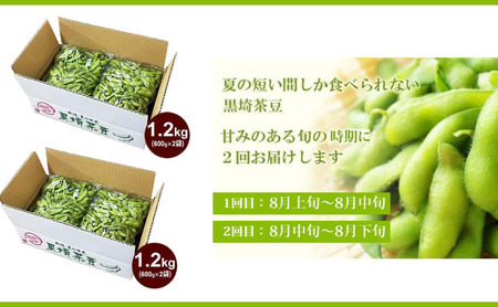 【2025年8月 2回お届け】くろさき茶豆1.2kg 2025年 先行予約 定期便 枝豆 野菜 つまみ おつまみ えだまめ エダマメ 新潟 定期 お楽しみ 2回 