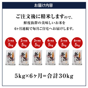 米 6ヶ月定期便 新潟 コシヒカリ 5kg 白米 精米 精米仕立てを発送致します 新潟県産 定期便 こしひかり お米 5kg こめ コメ ブランド米 6ヶ月 半年 6回 