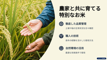 新潟産コシヒカリ 5kg お米