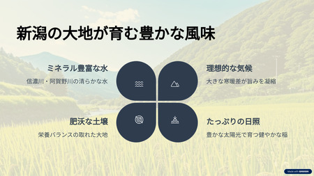 新潟産コシヒカリ 5kg お米