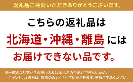 【予約受注】2026年2月下旬より発送新潟県産越後姫3L　12粒入り 