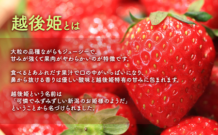 【予約受注】2026年2月下旬より発送新潟県産越後姫3L　12粒入り 