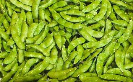 9月末～10月くろさきの枝豆 1kg 新潟県黒埼産 朝どり生枝豆 