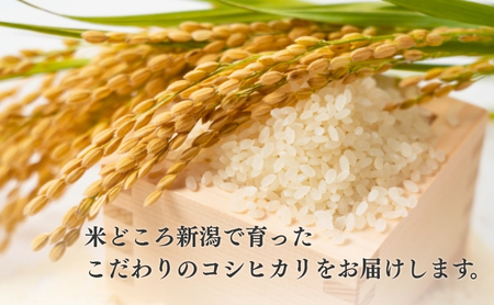 R7年産米【定期便】新潟産コシヒカリ5kg×3回