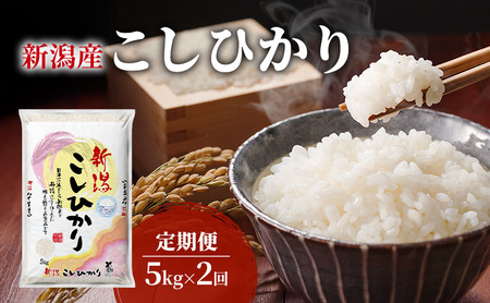 【定期便】新潟産コシヒカリ5kg×2回 米 こしひかり 定期 新潟市