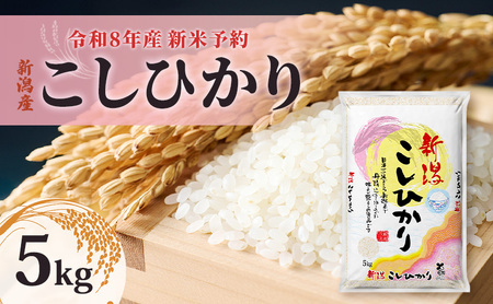 【先行予約】令和8年産新米予約新潟産コシヒカリ5kg　米 精米 こしひかり お取り寄せ 新潟県 新潟市 24,500円