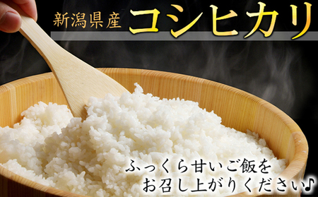 カガヤキ農園 新潟県産 特別栽培米 コシヒカリ 5kg 米 精米 白米 こめ コメ お米 おこめ こしひかり 新潟 新潟県特別栽培農産物認証取得 新潟県