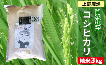 上野農場 自然栽培コシヒカリ精米3kg