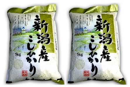 特別栽培コシヒカリ　10kg