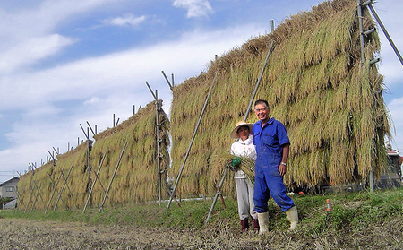 上野農場 自然栽培田んぼセット 精米1kg×3袋 お米
