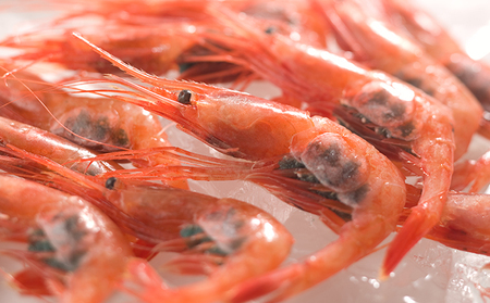 しんじょう3種詰合せ しんじょう おつまみ つまみ 練り物 3種 詰め合わせ セット 海老 エビ 甘海老 甘エビ カニ 蟹 新潟 