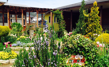 ジェラテリア・レガーロ ジェラート12個セット お菓子 アイス