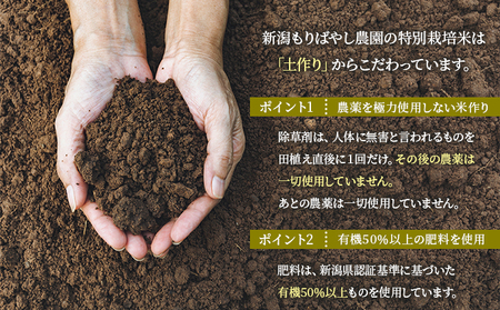 まごころ米こしいぶき10kg（白米） | 新潟県新潟市 | ふるさと納税