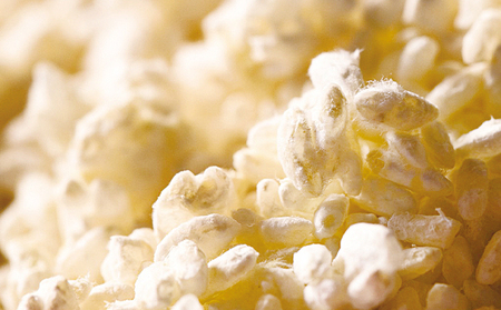 お米ののむヨーグルト3本セット 飲料 ドリンク 