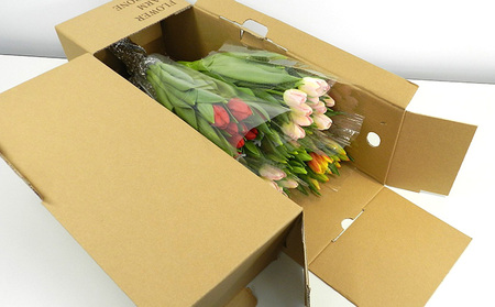 フラワーファームしろねのチューリップ切花50本おすすめアソート（5品種×各10本） 植物 花束 