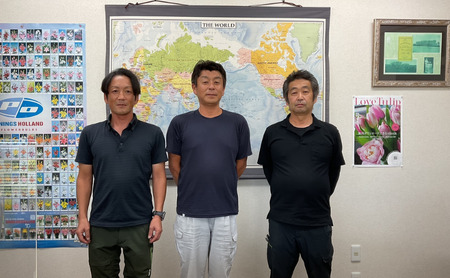 【1・2・3月定期お届け計3回】フラワーファームしろねのチューリップ切花50本おすすめアソート 植物 花束