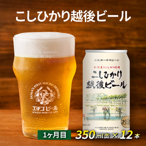 【定期便2ヶ月】エチゴビール【1ヶ月目】こしひかり越後ビール350ml缶×12本【2ヶ月目】のんびりふんわり白ビール350ml缶×12本 地ビール ビール 全国第一号 クラフトビール 350ml 缶 12本 酒 人気 新潟 定期便 2回 お楽しみ 