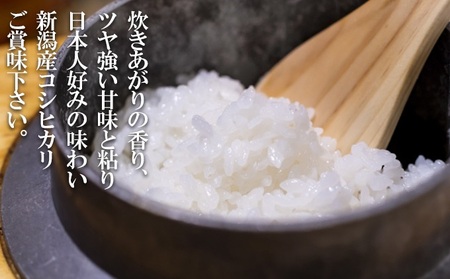 特別栽培米 新潟産コシヒカリ白米 10kg(5kg×2) お米 こしひかり