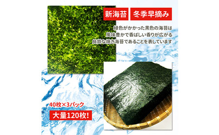 訳あり 寒流のり120枚（40枚×3パック） 海苔 のり 焼き海苔 焼きのり 訳アリ 不揃い 乾物 海藻 新潟