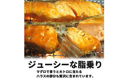 甘塩トラウトサーモン 10切 鮭 さけ サケ しゃけ シャケ サーモン トラウトサーモン 塩鮭 切り身 魚 海産物 魚介 魚介類 惣菜 おかず ごはんのお供 朝ごはん お弁当 冷凍 新潟