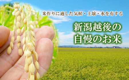 令和5年産 新潟県認証特別栽培米 コシヒカリ10kg